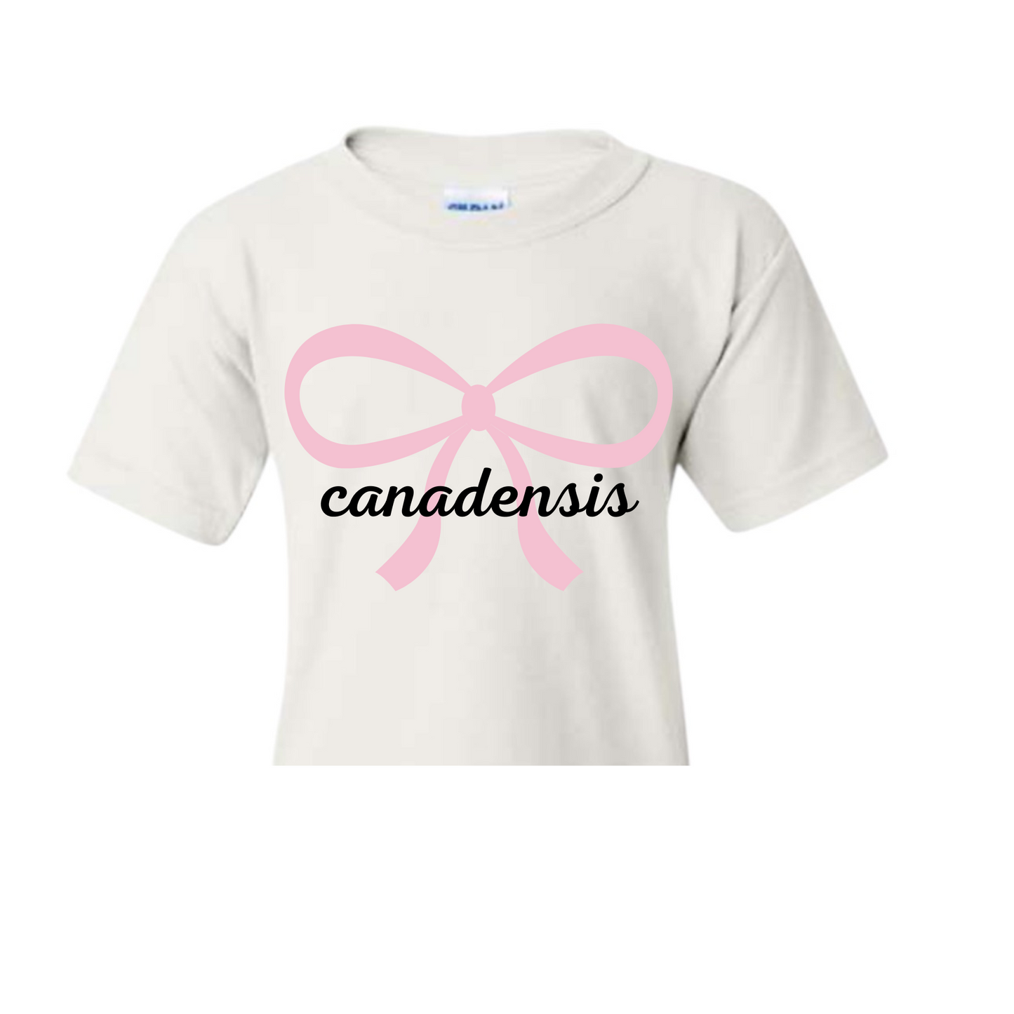 Bow Camp / School Spirit Shirt