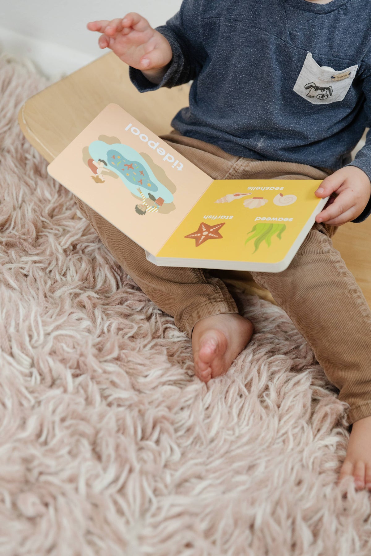 Beach Baby - Board Book, view 6